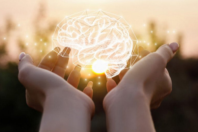 Alzheimer's Treatment